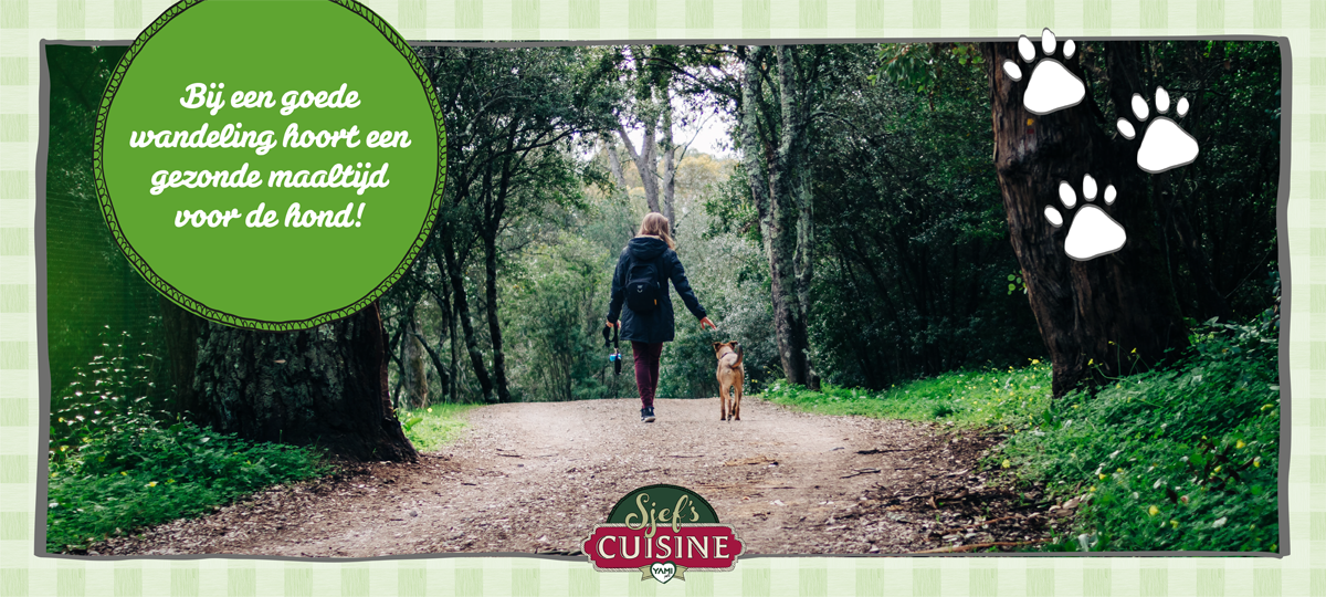 CR | Header | /gezonde-maaltijd-voor-je-hond