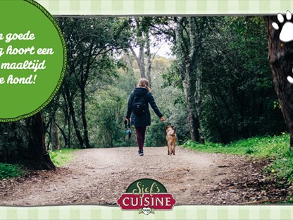 CR | Header | /gezonde-maaltijd-voor-je-hond
