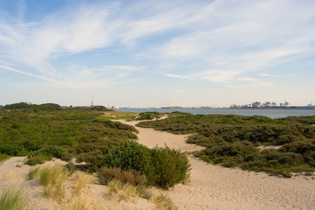 zandpad in de duinen aan zee bij Hoek van Holland.