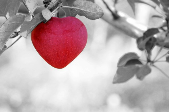 Appel | Hart