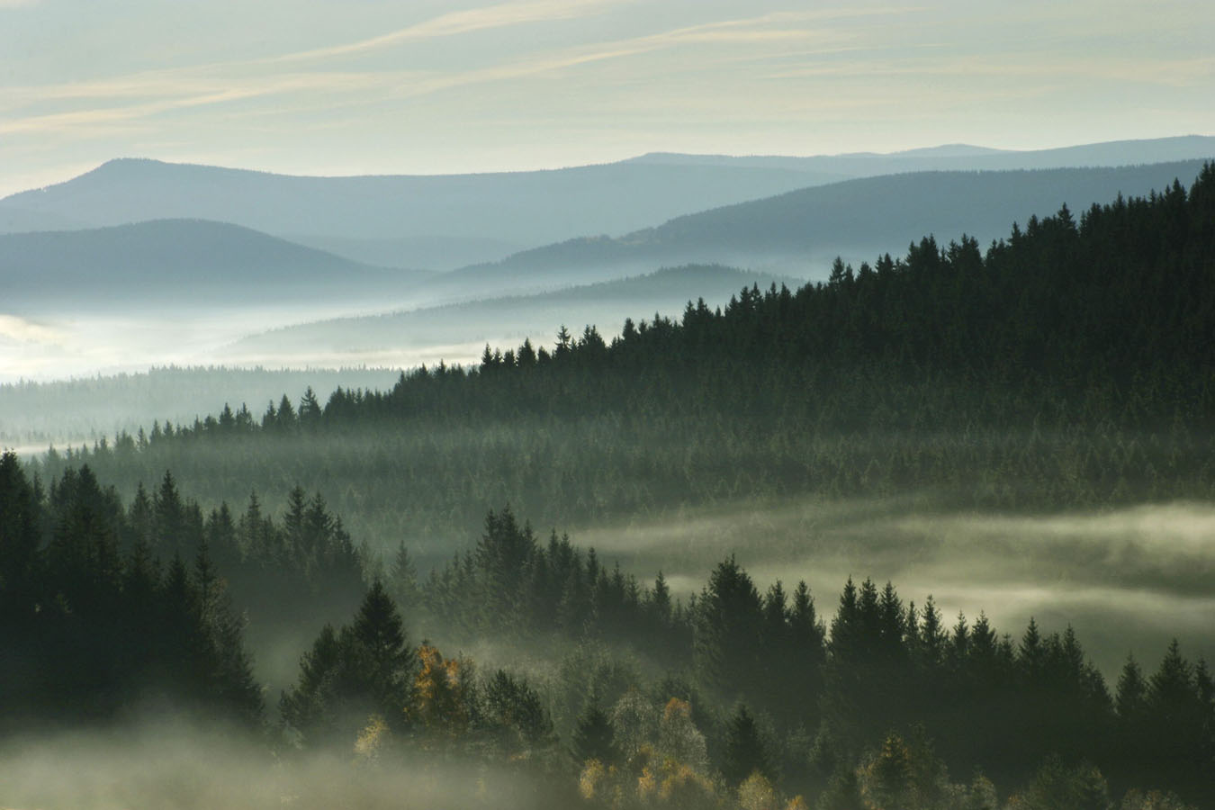 afbeelding van vergezicht in Nationaal Park Šumava