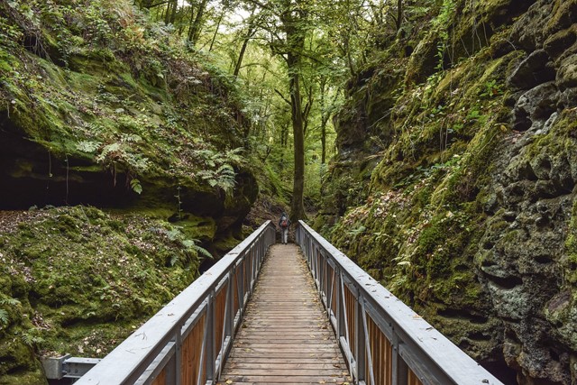 Mullerthal Trail