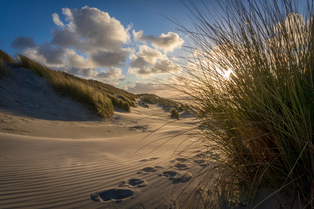Dit Zijn De Mooiste Duinwandelingen Van Nederland Tip 3 Duinen Van Goeree
