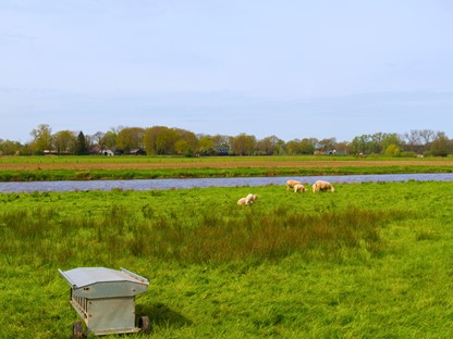 Pieterpad Etappe 8 Coevorden Hardenberg