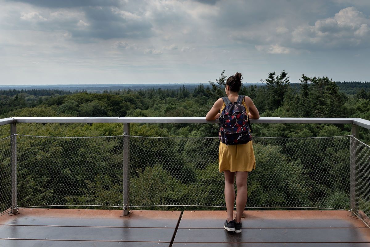 Header | Tuur naar een weids panorama vanaf deze uitkijktorens