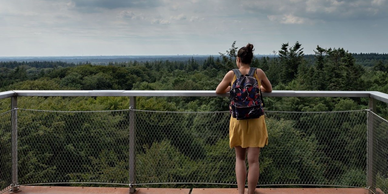 Header | Tuur naar een weids panorama vanaf deze uitkijktorens