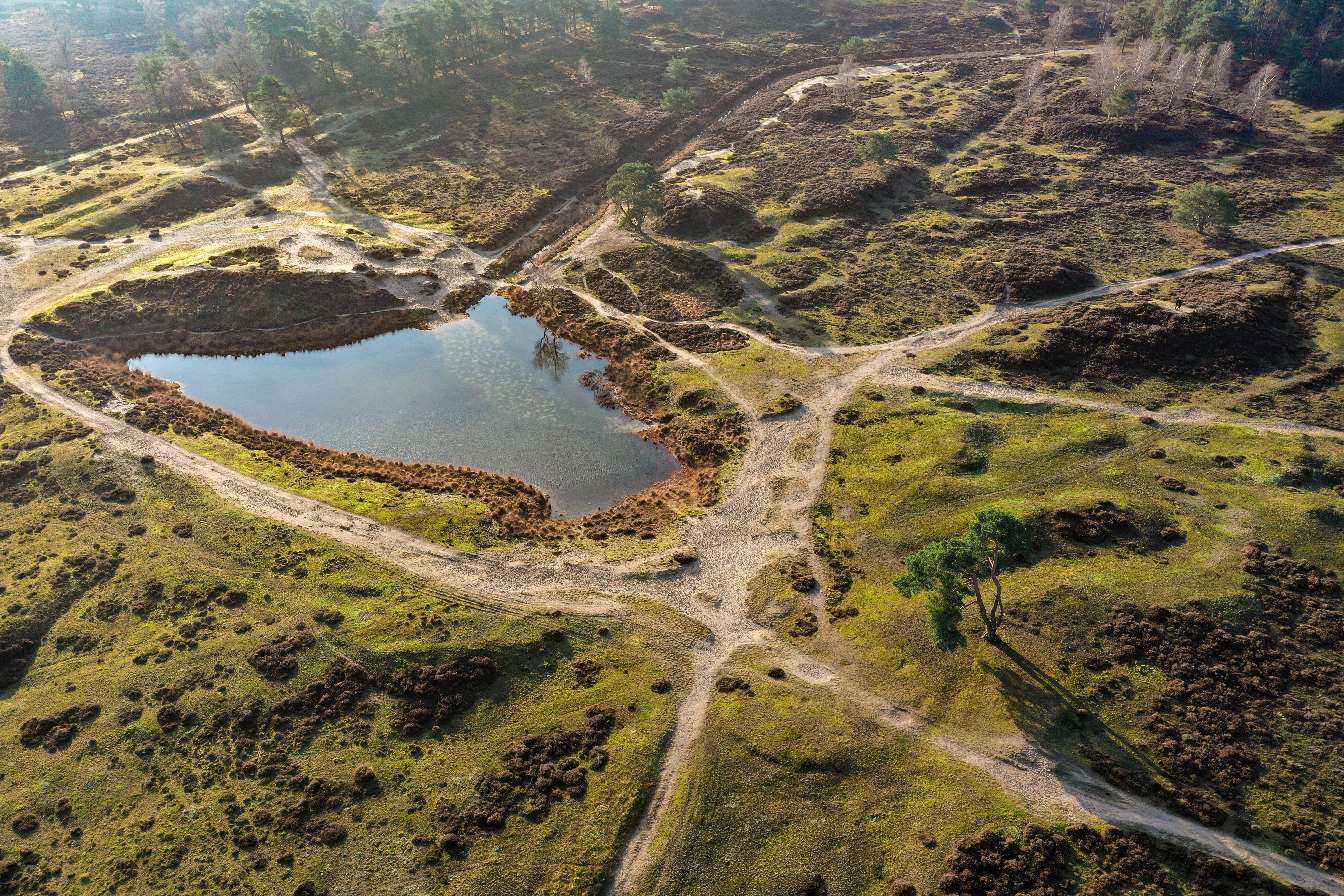 Bovenaanzicht van een vennetje op Heidestein