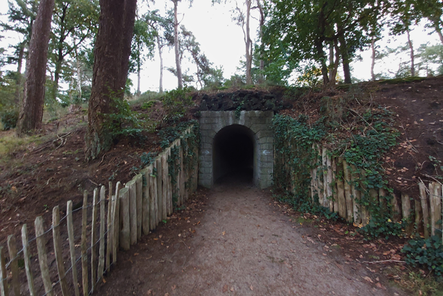 Wandelroute Bornia Heidestein Heide, Stuifzand Landgoed Heidestein