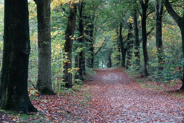 Landgoed Mentink