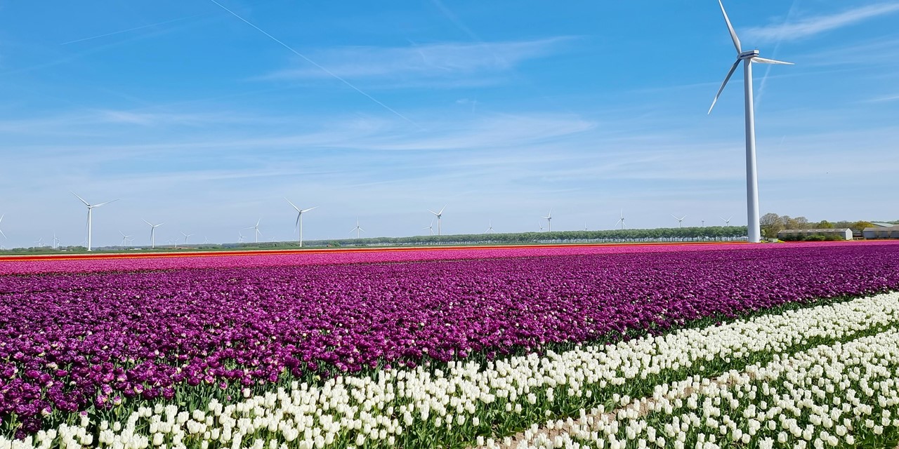 Flevoland Wandelroute Met Reuma