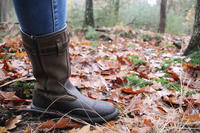 afbeelding van een laars in herfstblaadjes.