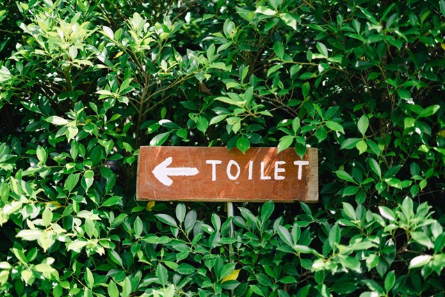 Wandelwoorden Deel 3 Witte Vlag: Toilet bord