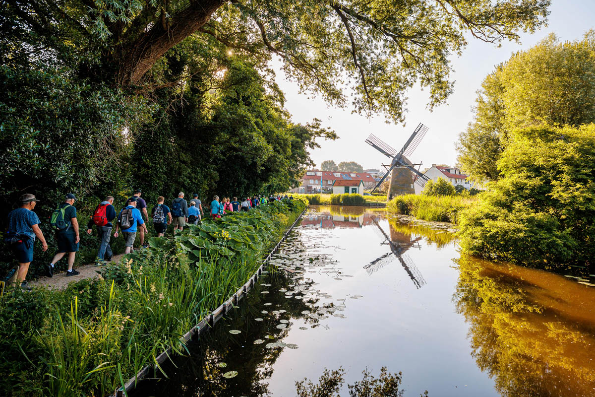 Met de Wandel4daagse Alkmaar loop jij fit de zomer tegemoet; molen en natuur