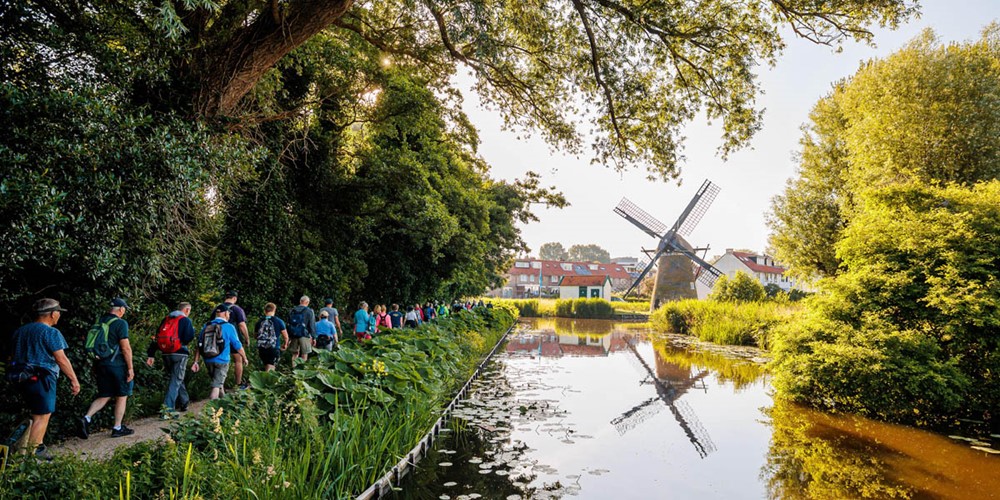 Met de Wandel4daagse Alkmaar loop jij fit de zomer tegemoet; molen en natuur