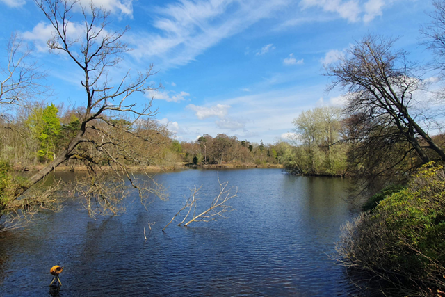 Landgoedwandelingen Koninklijk Wandelen In De Landgoederenzone Van Wassenaar: Vijver Wassenaar