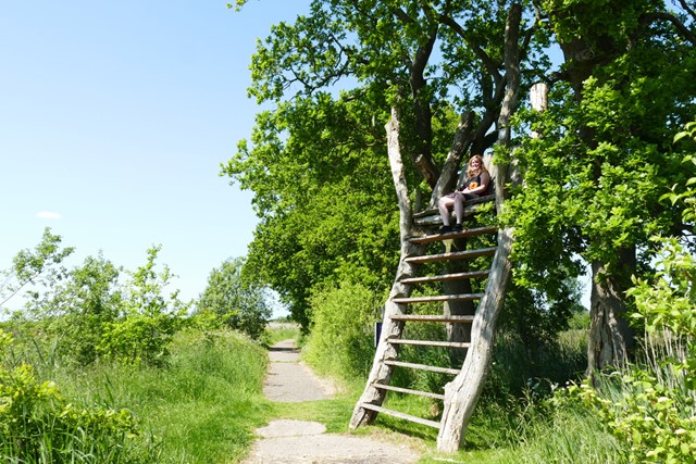wandelaar zit op een gyrap in de natuur.