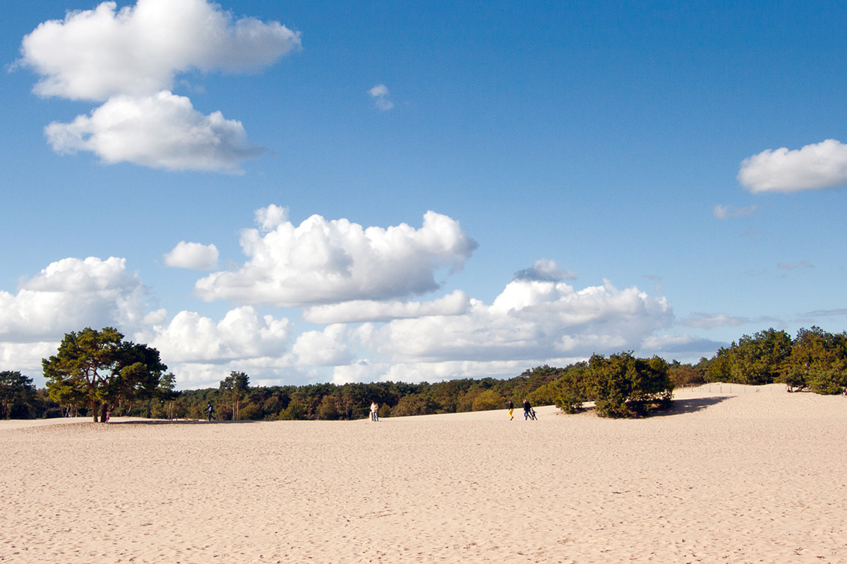 Soesterduinen. 