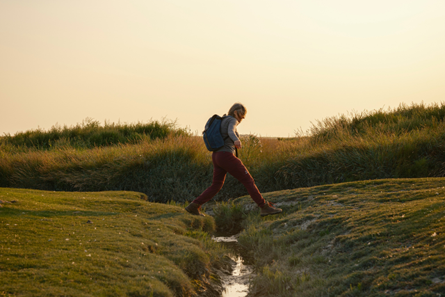 Het Landschap Als Verteller