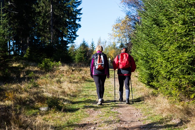 Afbeelding samen wandelen