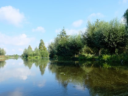 afbeelding van natuurgebied De Lansing