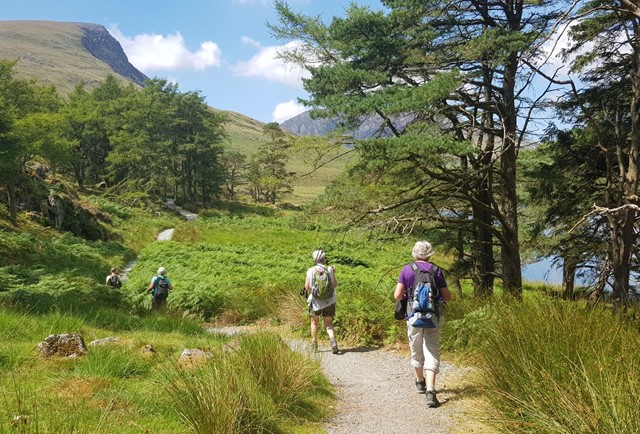 Wandelvakantie per bus Wales