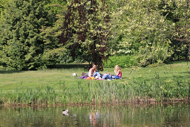 Duo aan het pauzeren in het Mastbos