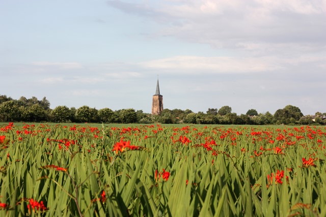 Top 8 Mooiste Wandelingen In Grensland De Baronie 2