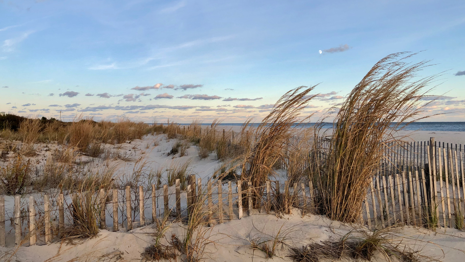 Wandelroute Kwade Hoek Duinen Van Goeree