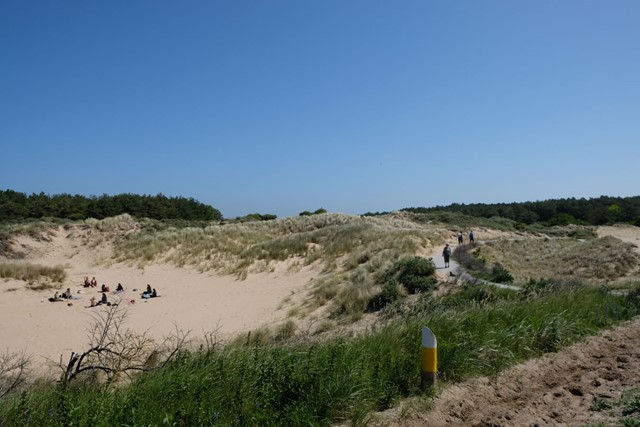 afbeelding van de duinen bij Noordwijk