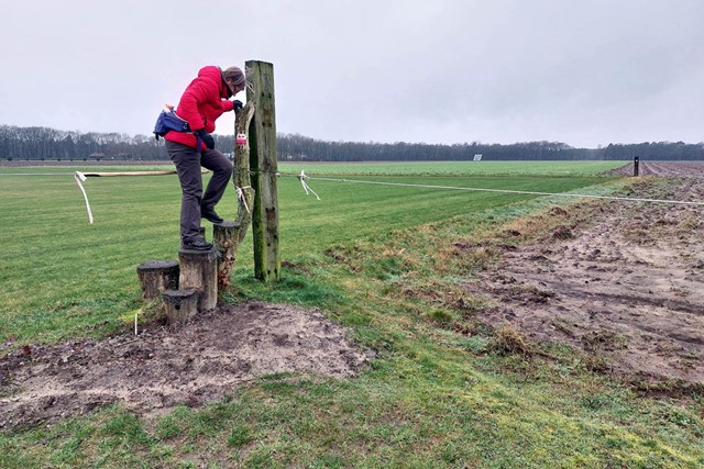  Wandelen in de ijstijd Uddelermeer; Klompenpad