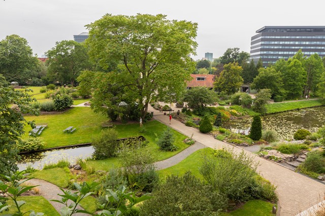 afbeelding van de botanische tuinen in Utrecht.