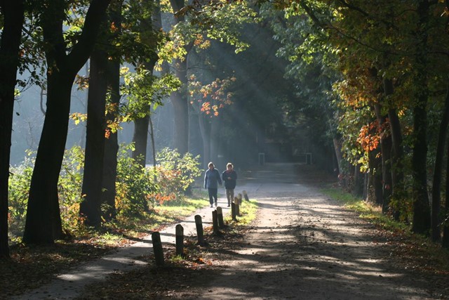 afbeelding van twee wandelaars die door De Eese lopen, in de zon.