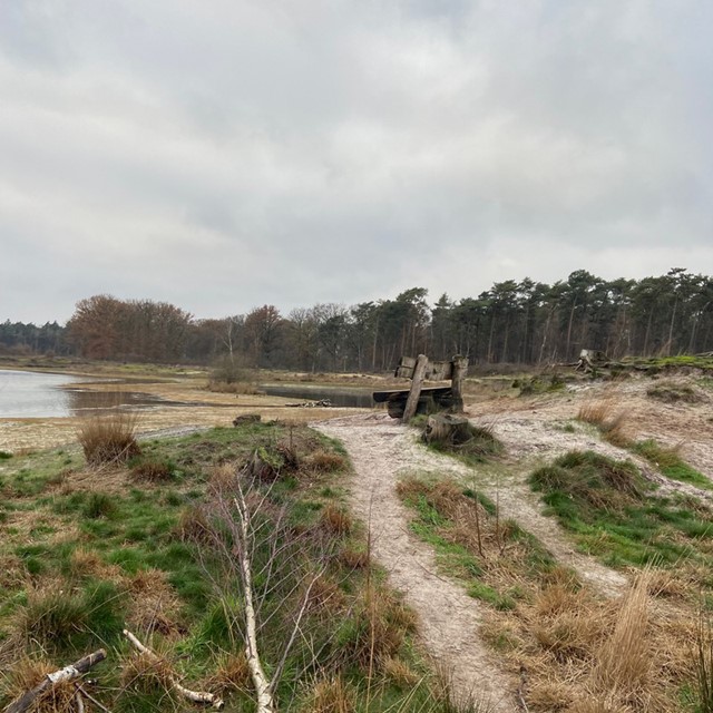 afbeelding van een wandelbankje langs het Galgenven.