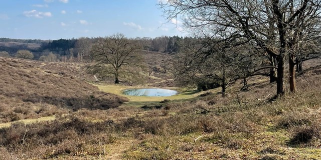 NS wandelroute Veluwezoom