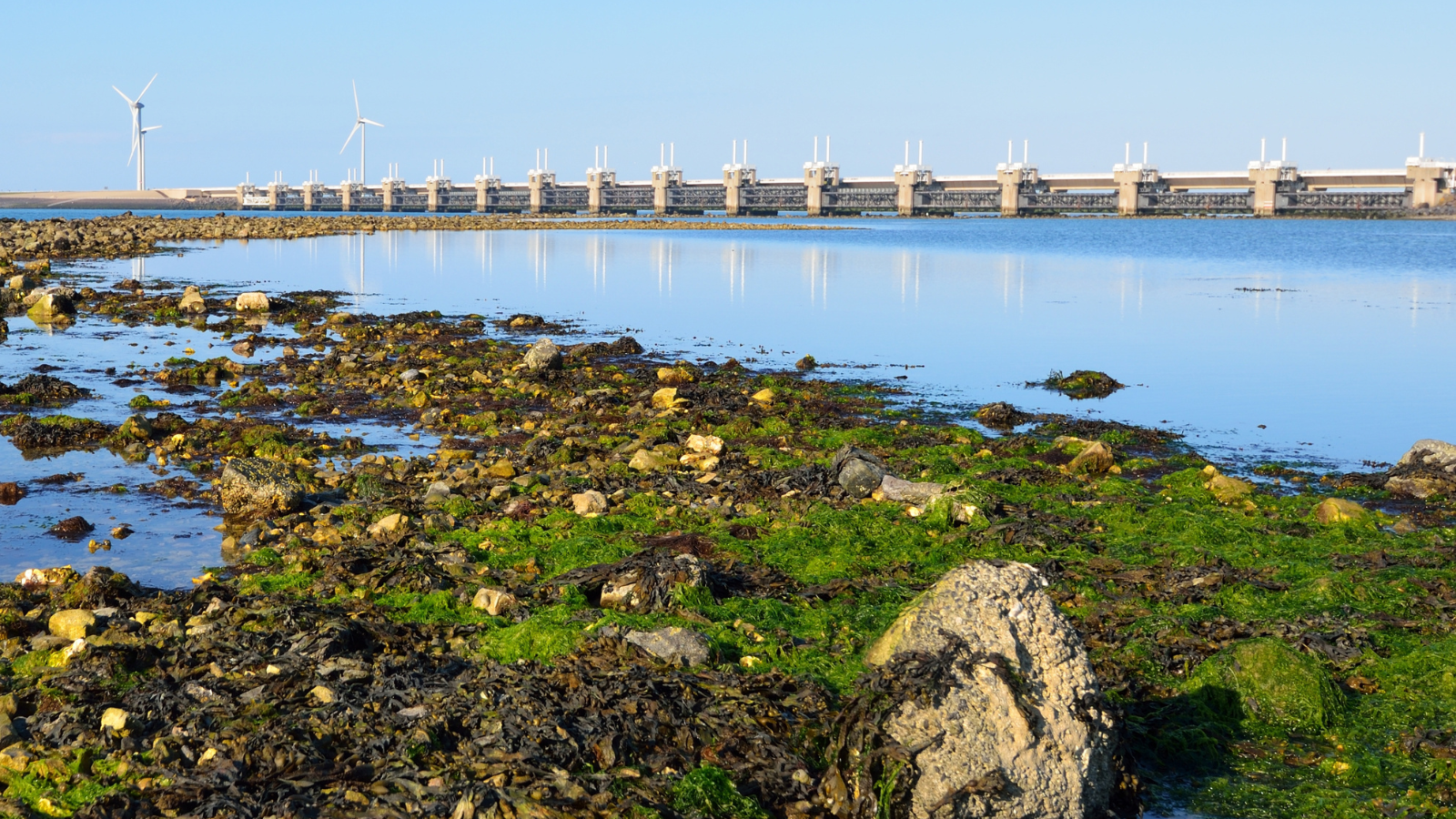 Wandelroute Neeltje Jans Duinlandschap