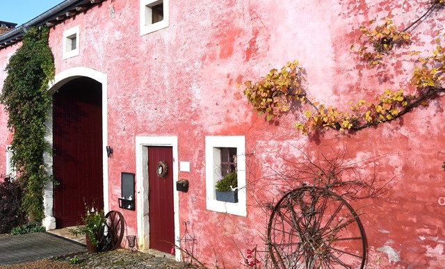 Torgny (Foto © VISITWallonia - Caroline Rase)