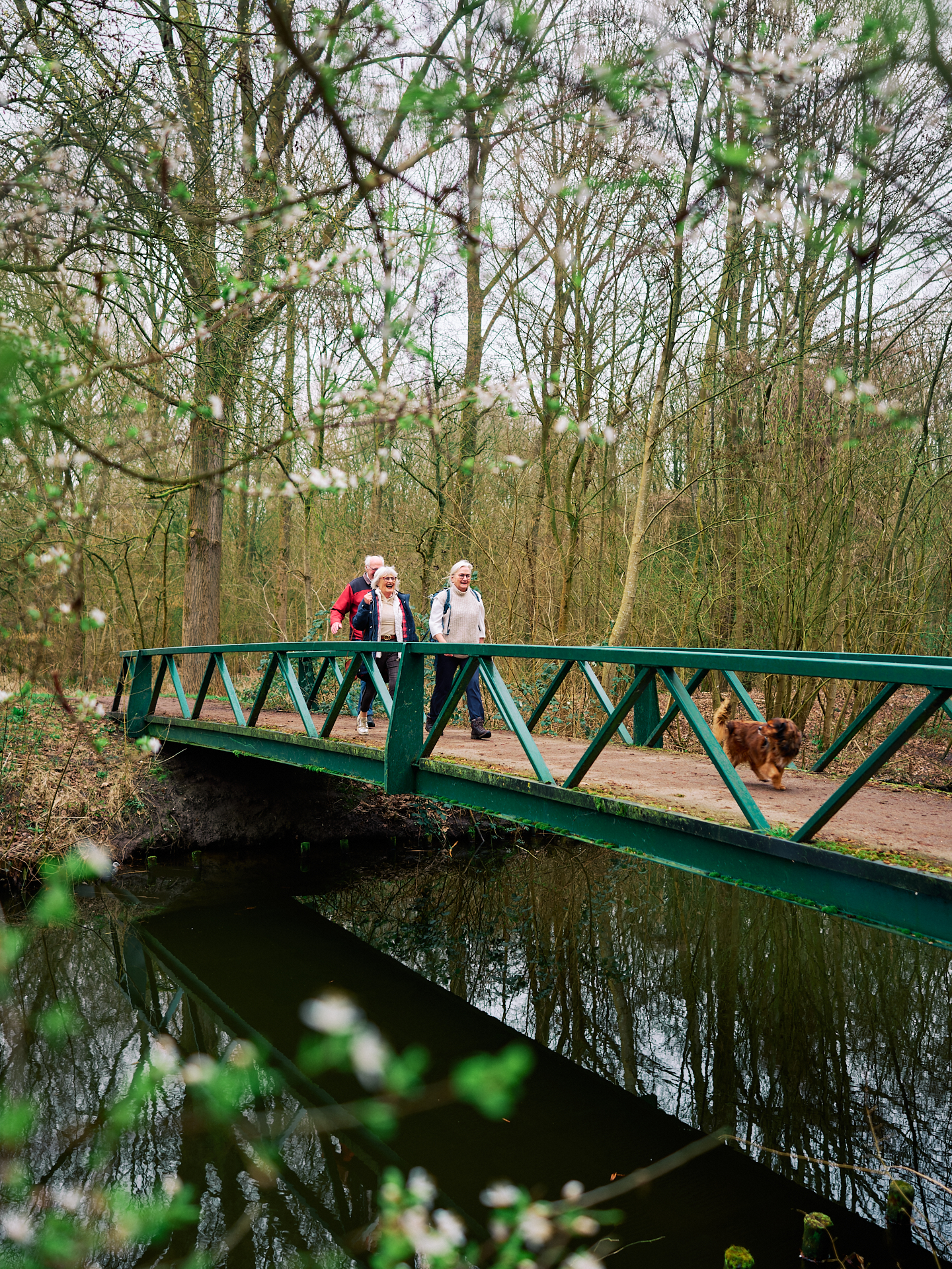 Routeb Wandelroute Schokker Fotografie 1641 Social & Web 1920Px