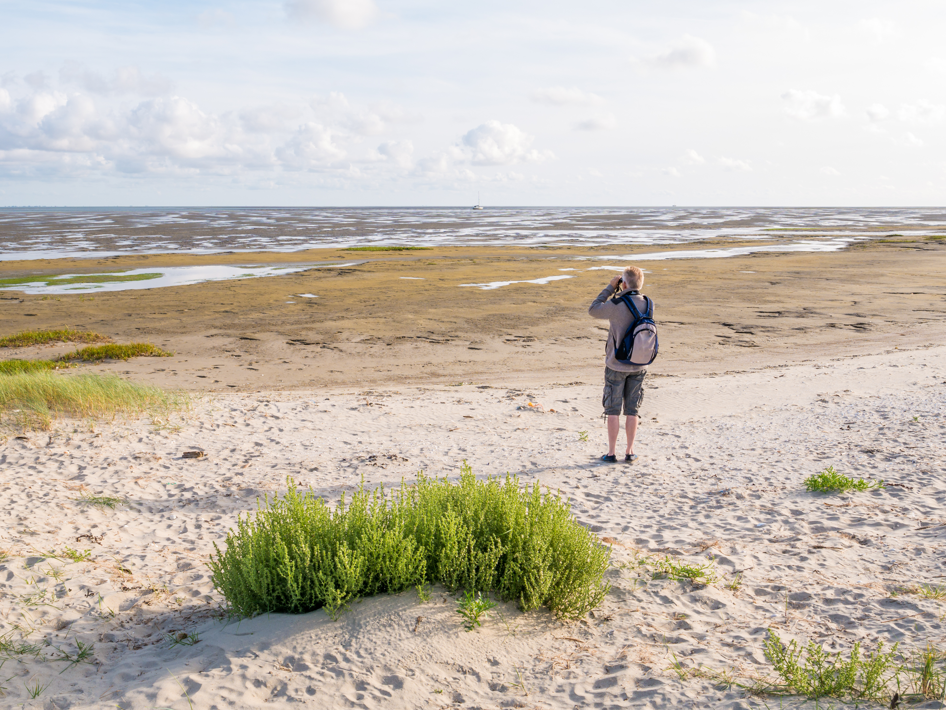Afbeelding Boschplaat