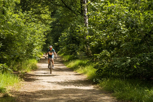 afbeelding van mountainbiker Bart Brentjens.