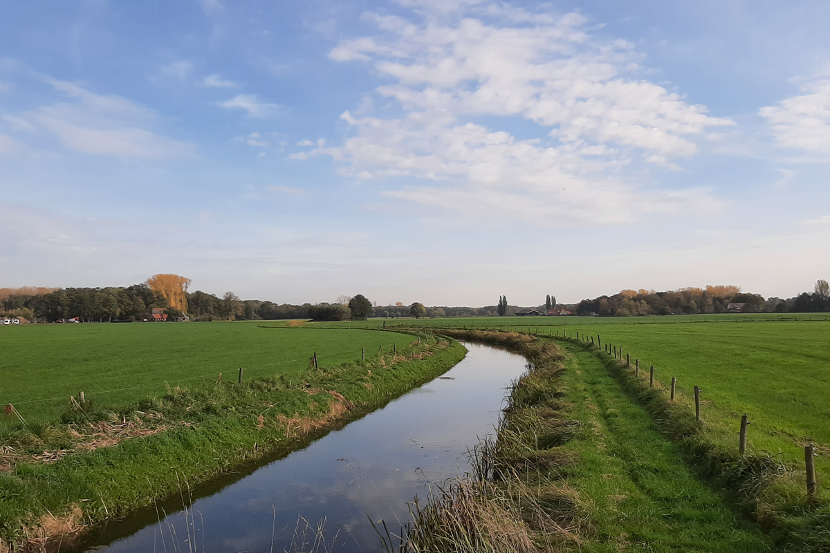 afbeelding van een sloot tussen de weilanden, in het achterland van Zutphen.
