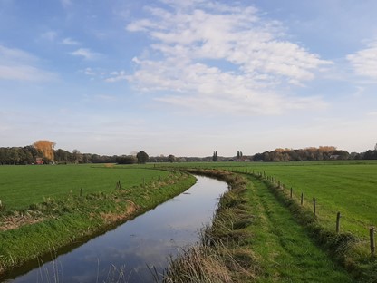 afbeelding van een sloot tussen de weilanden, in het achterland van Zutphen.
