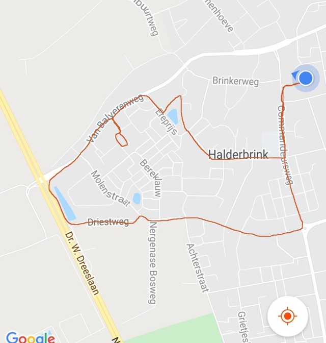 Afbeelding 5 | Wandeloefeningen Voor Een Positieve Boost