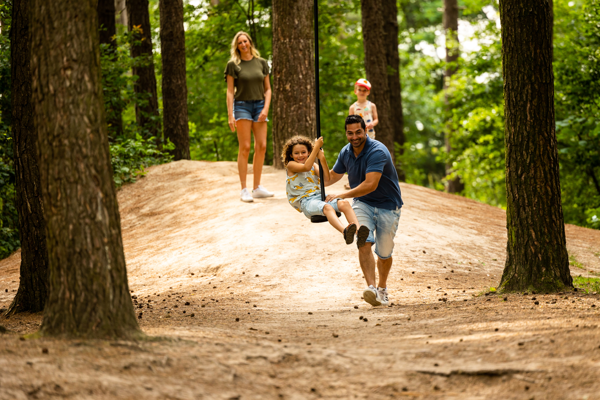 afbeelding van een gezien dat plezier maakt tijdens een wandeling in het bos.