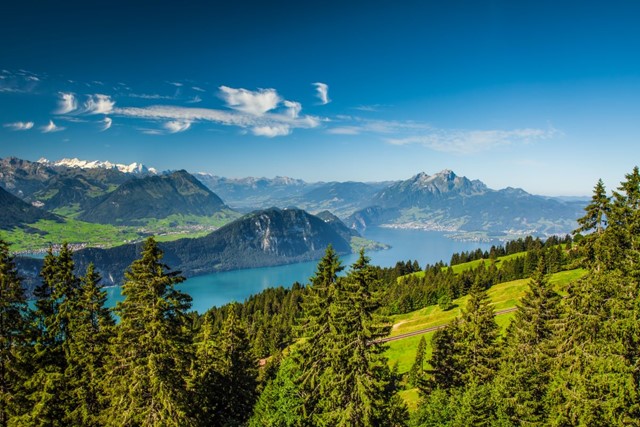 Wandelen door de natuur van Zwitserland: wandelvakantie Vierwoudstrekenmeer 