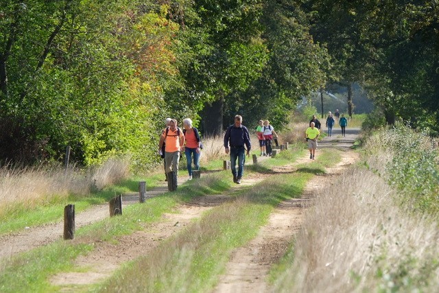 wandelen over het gras in Haaksbergen