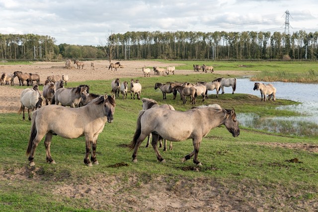 Afbeelding 3 | In Deze Wandelgebieden Kun Je Bijzondere Dieren Ontmoeten