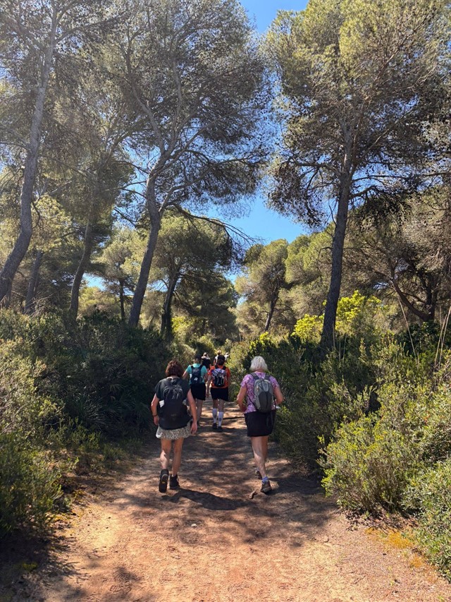 Betoverende wandelpaden tijdens de wandel 4-daagse Mallorca
