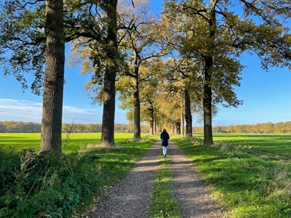 Gelukswandeling De stilte van het bos