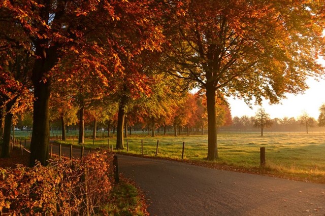 Berucht Kaal Effectief Tips om mooie herfstfoto's te maken - Wandel