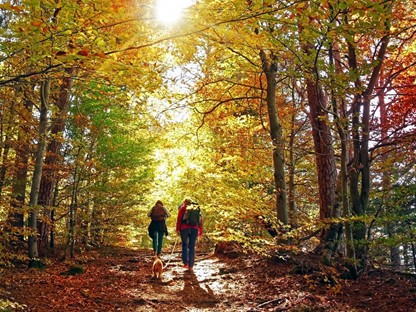 Wandelen Met Een Wandel App Of GPX Tips